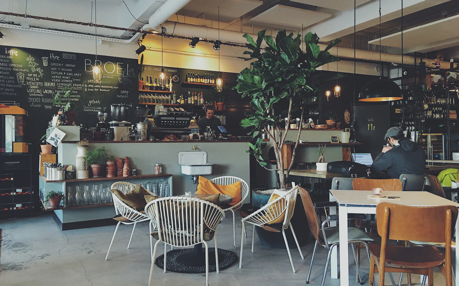 Bright café interior with tables, chairs and plants