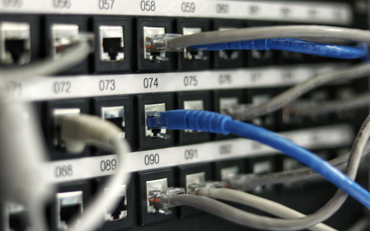 Network patch panel with blue and grey cables